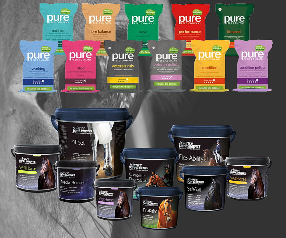 Nutritional Support at Equipoise Performance
