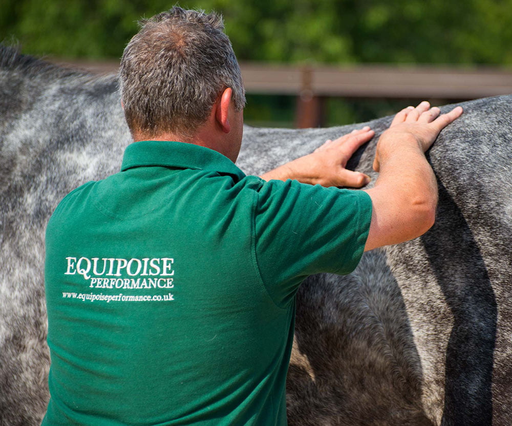 Rehabilitation and Maintenance at Equipoise Performance Rehabilitation and Maintenance at Equipoise Performance